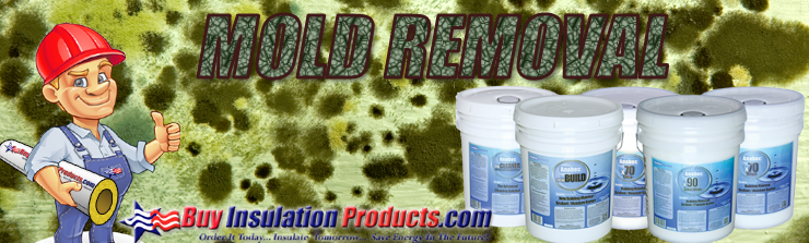 mold-removal-banner.png